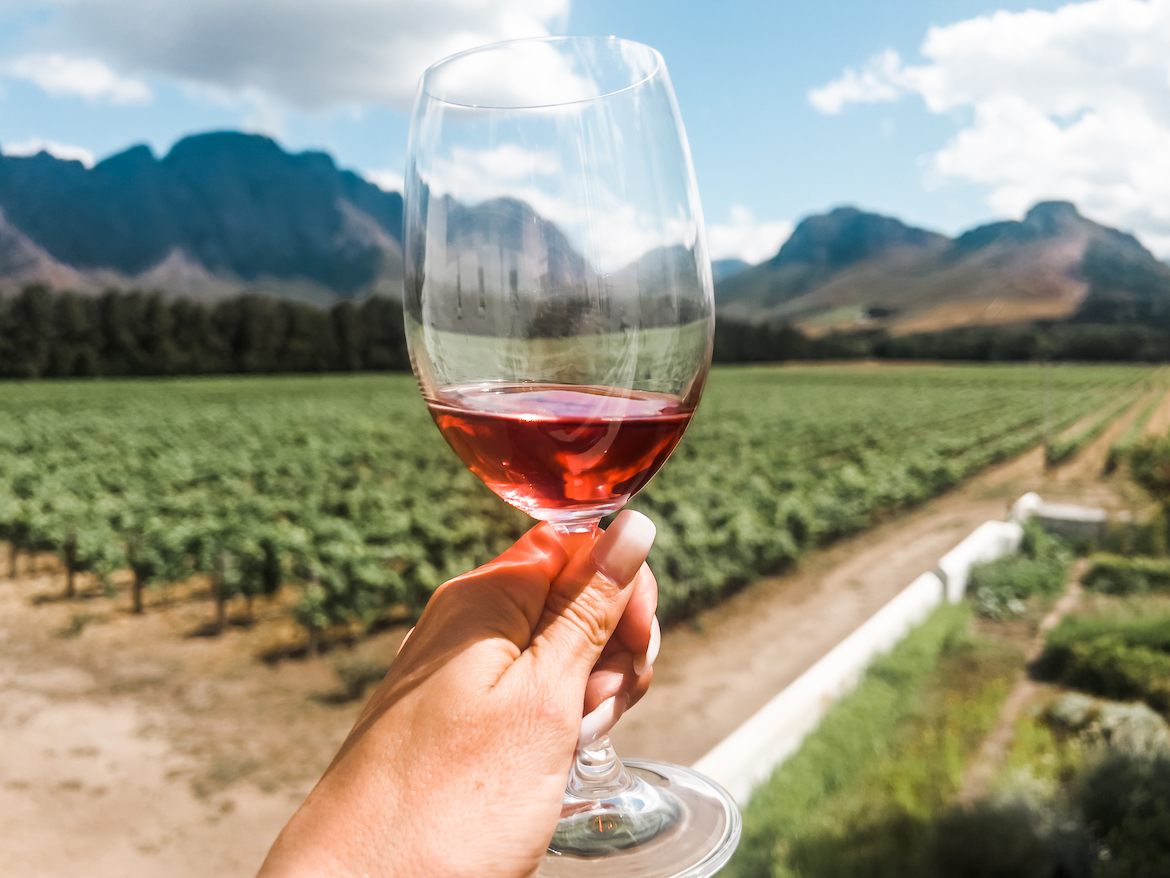 Cape Town wine tours