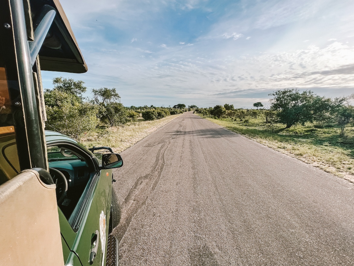 Driving in Kruger National Park
