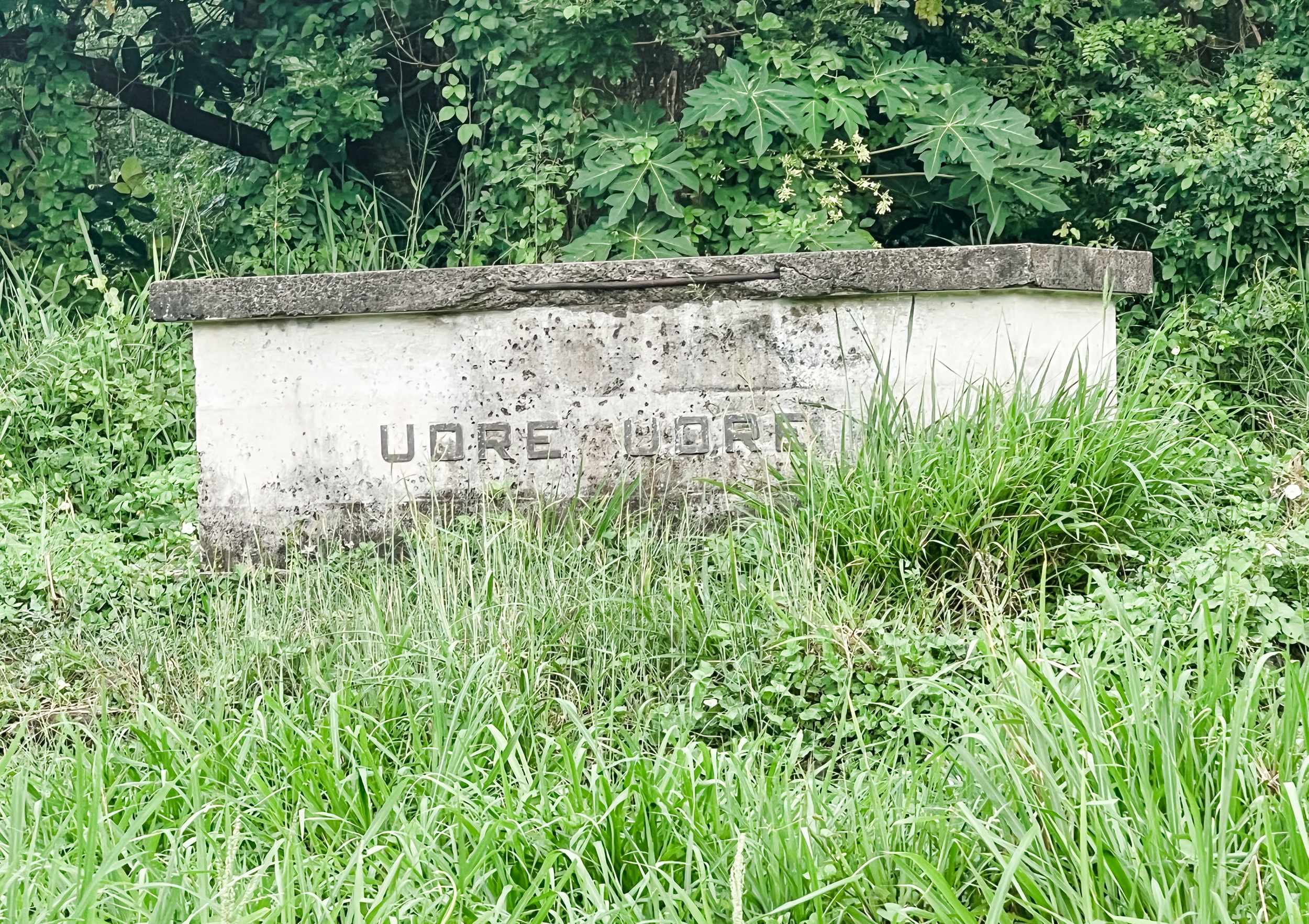 the Tomb of Udre Udre