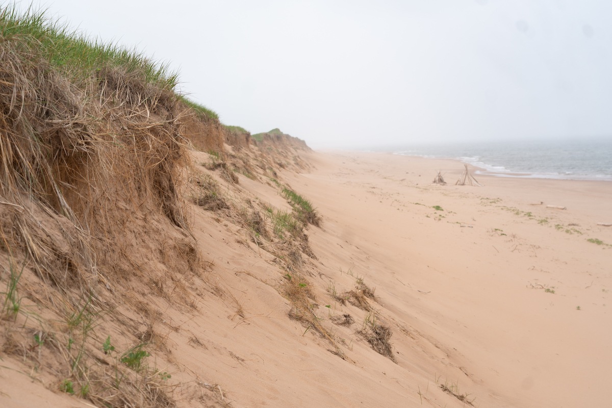 Greenwich Dunes Trail in Prince Edward Island National Park.