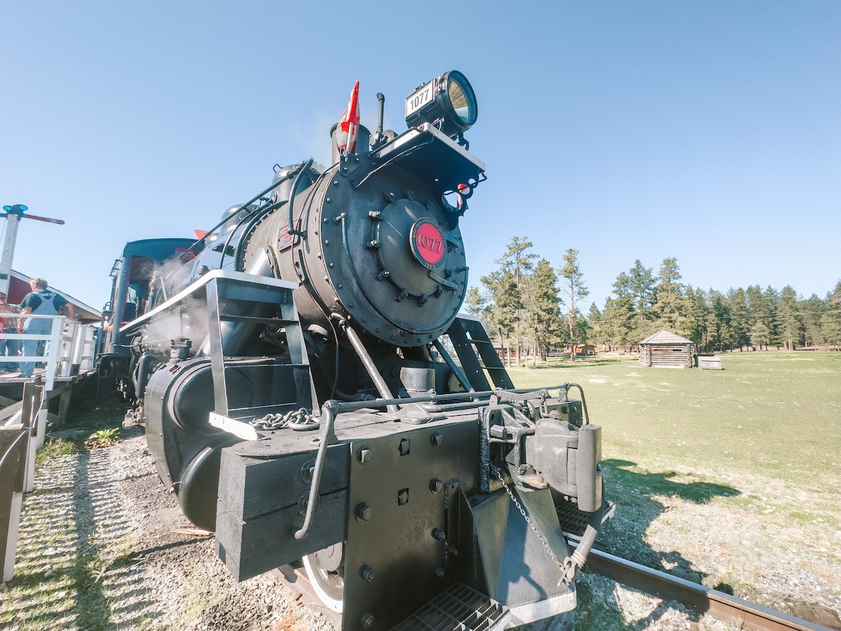 The steam train at Fort Steele