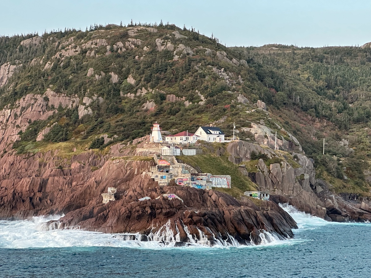 Best things to do in St. John's, Newfoundland