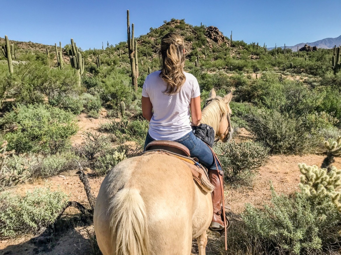 Horseback riding at Saguaro Lake Ranch